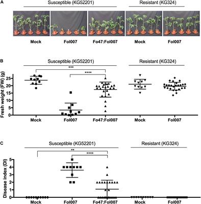 Xylem Sap Proteomics Reveals Distinct Differences Between R Gene- and Endophyte-Mediated Resistance Against Fusarium Wilt Disease in Tomato